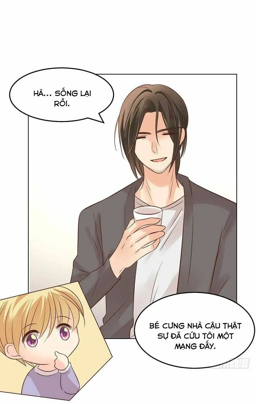 Chapter 161