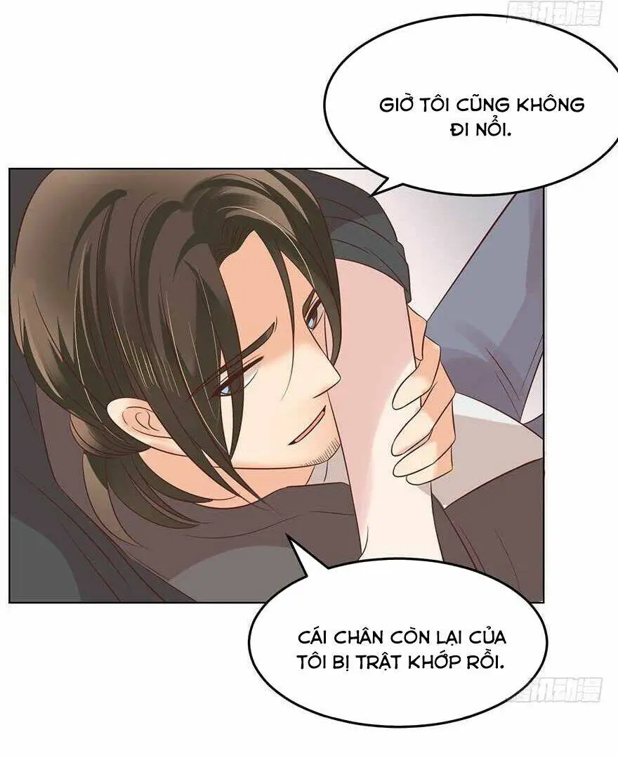 Chapter 161