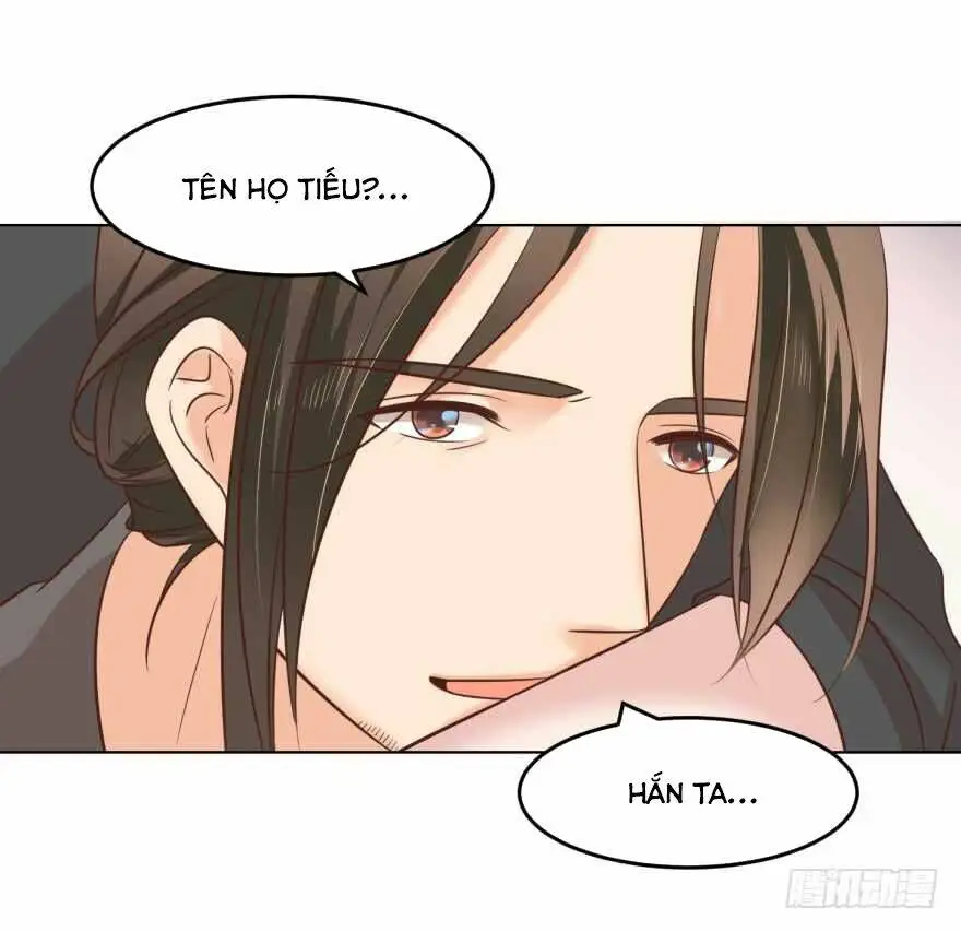 Chapter 161