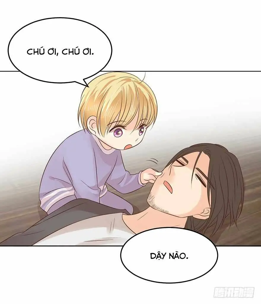 Chapter 161