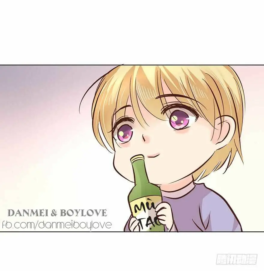 Chapter 161
