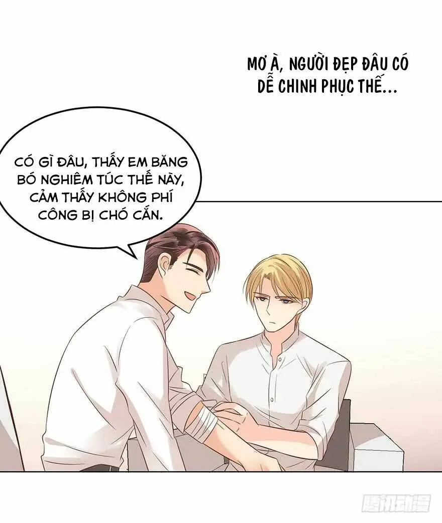 Chapter 156