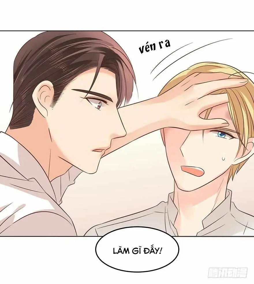 Chapter 156