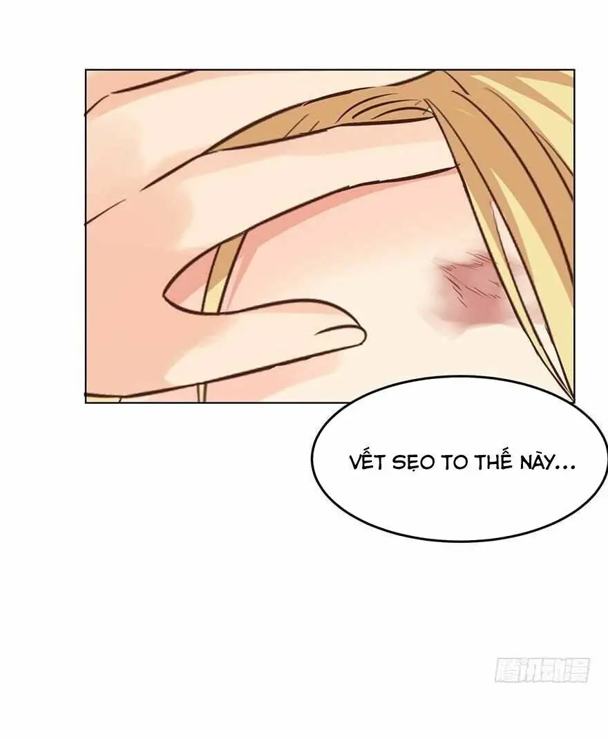 Chapter 156