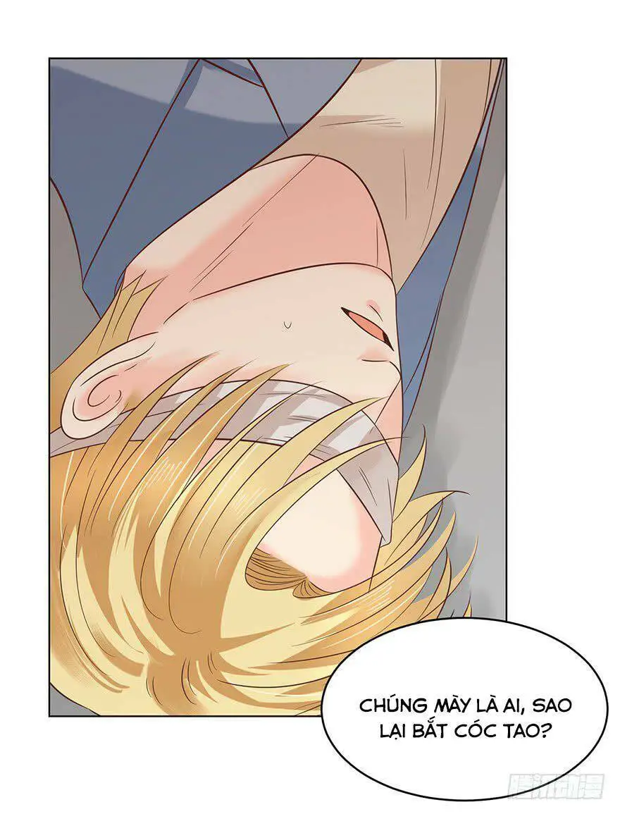 Chapter 138