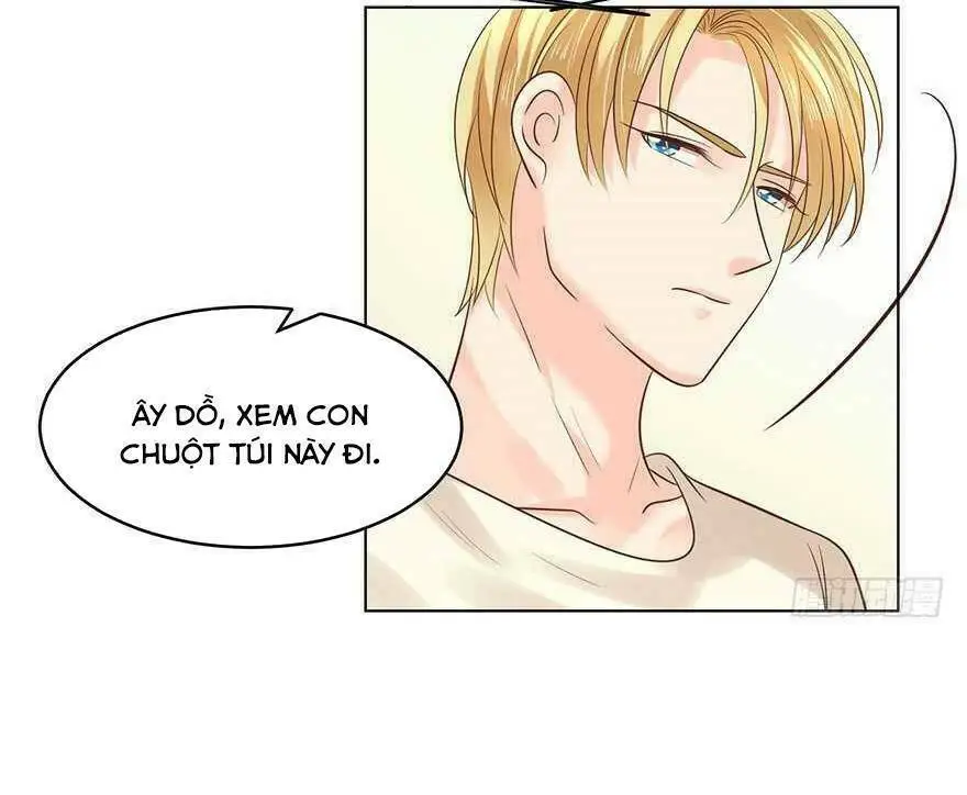Chapter 137