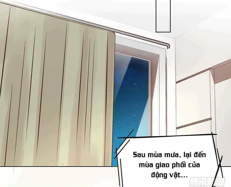 Chapter 137