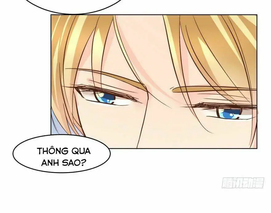 Chapter 135