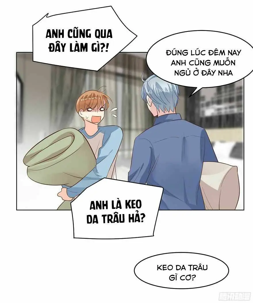 Chapter 121