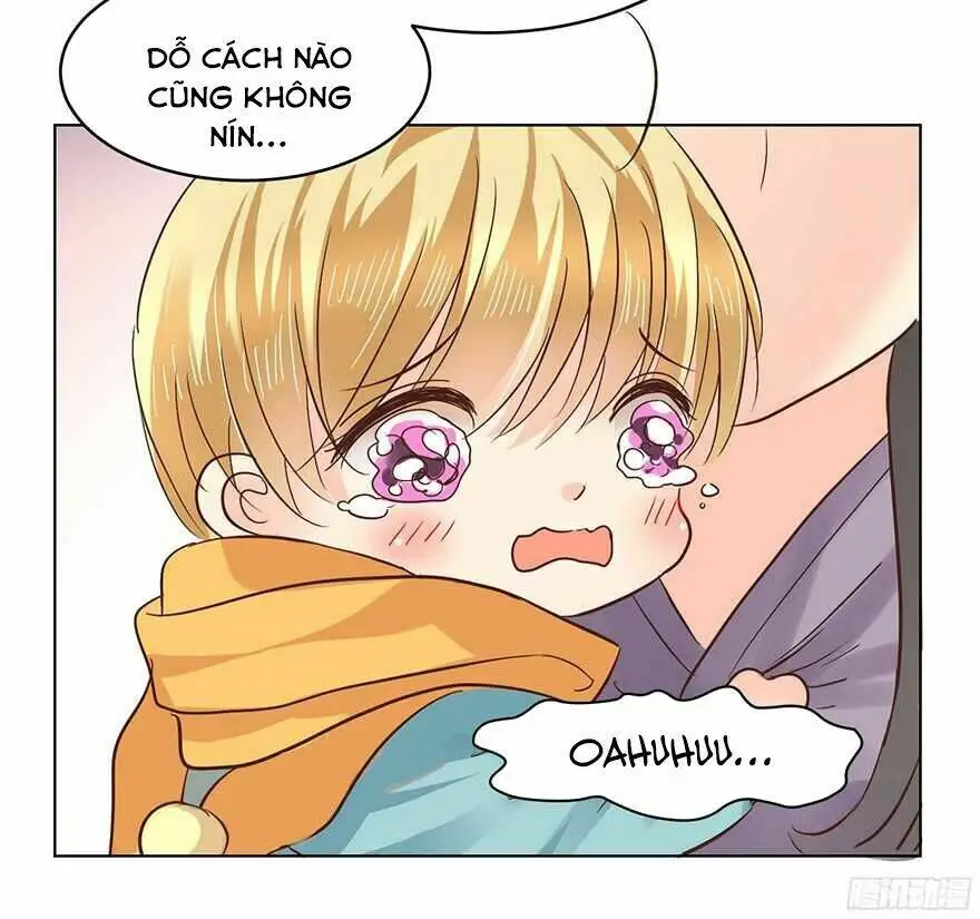 Chapter 120
