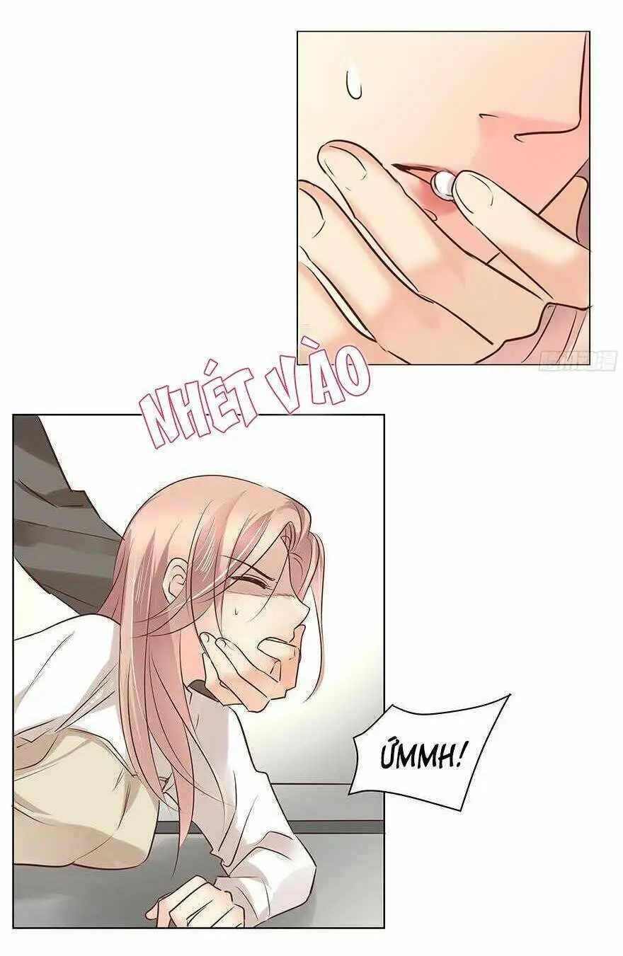 Chapter 113