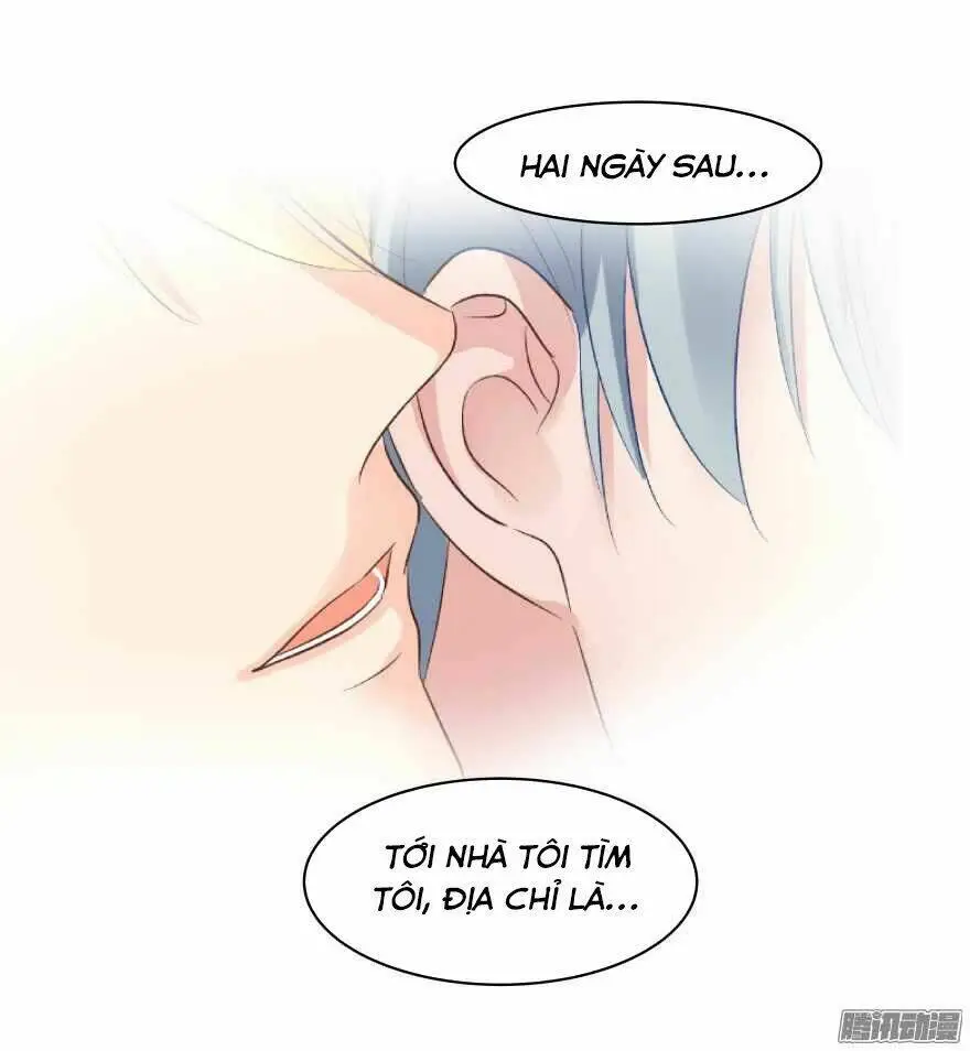 Chapter 96
