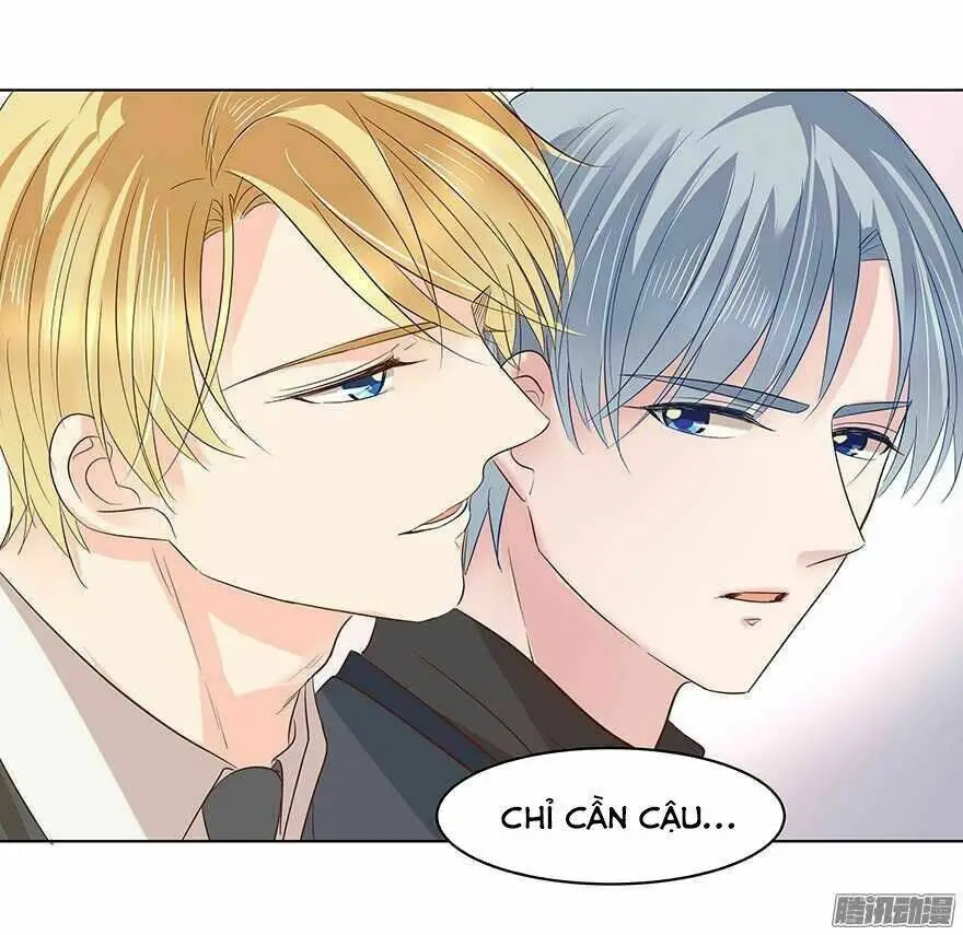 Chapter 95