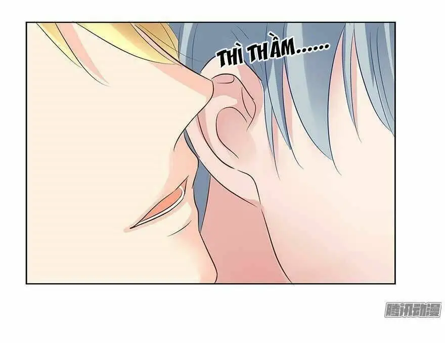 Chapter 95