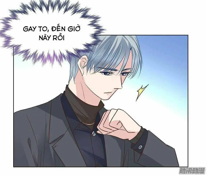 Chapter 95