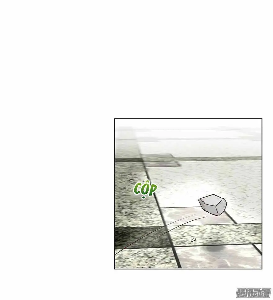 Chapter 95