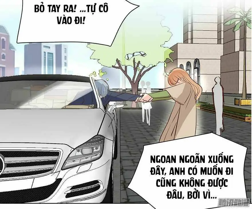 Chapter 95