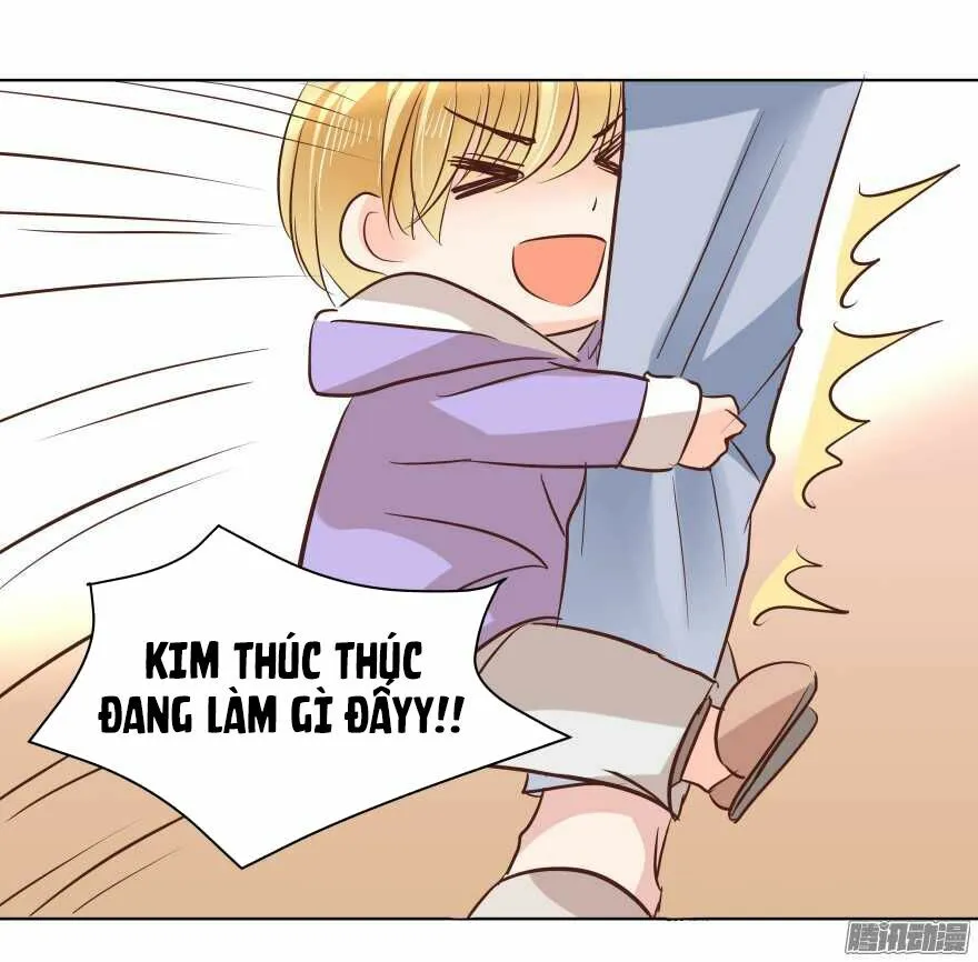 Chapter 85