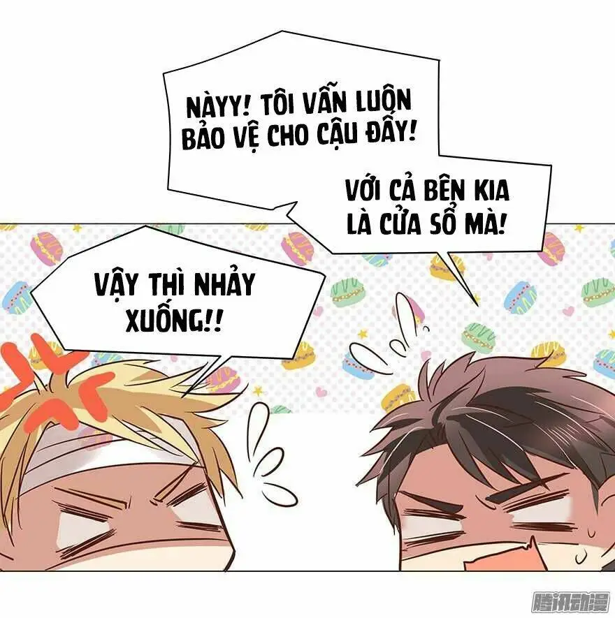 Chapter 81