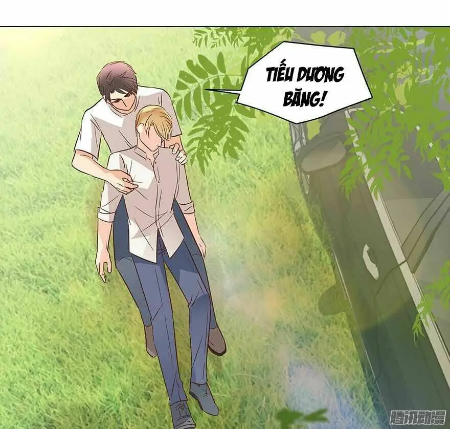 Chapter 81