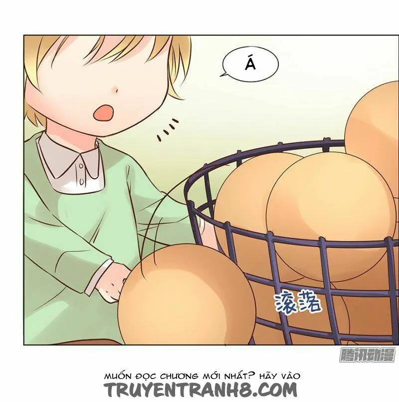 Chapter 46