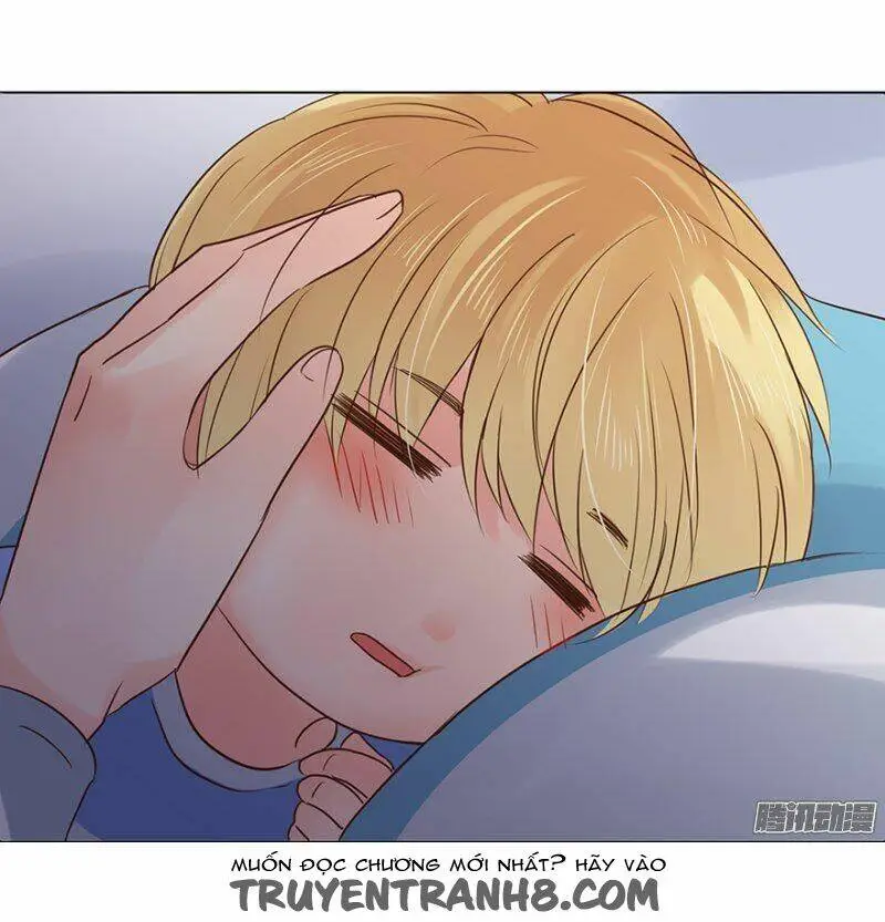 Chapter 41