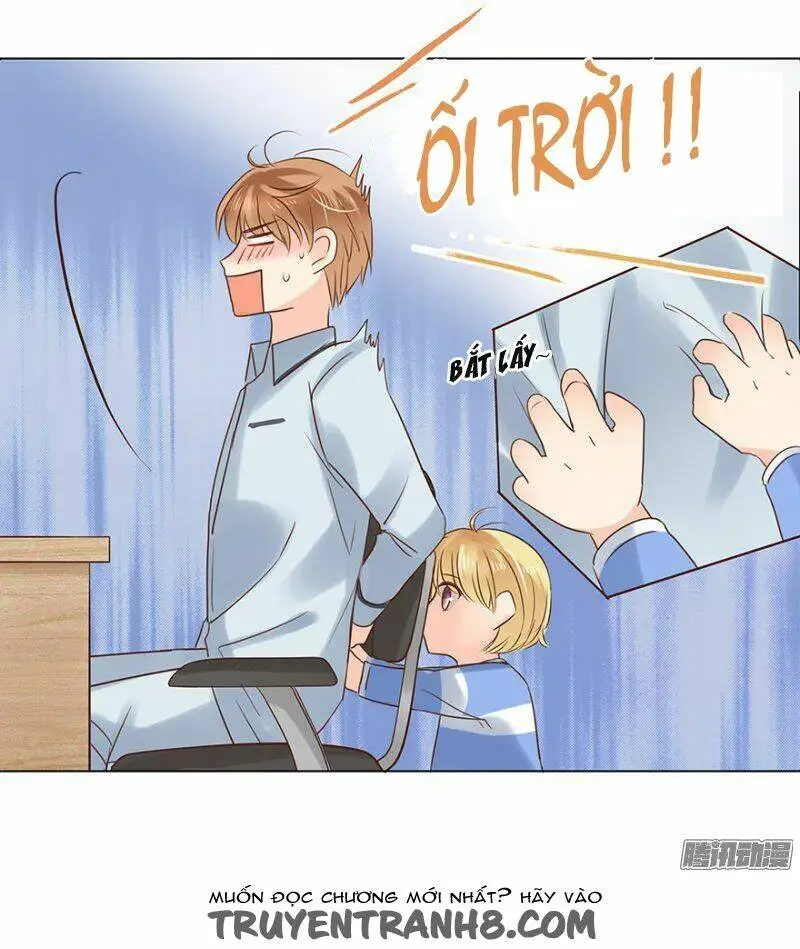 Chapter 41