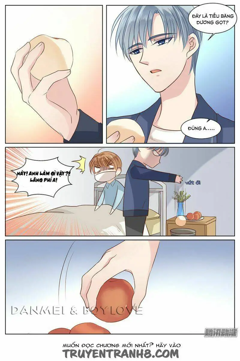 Chapter 29