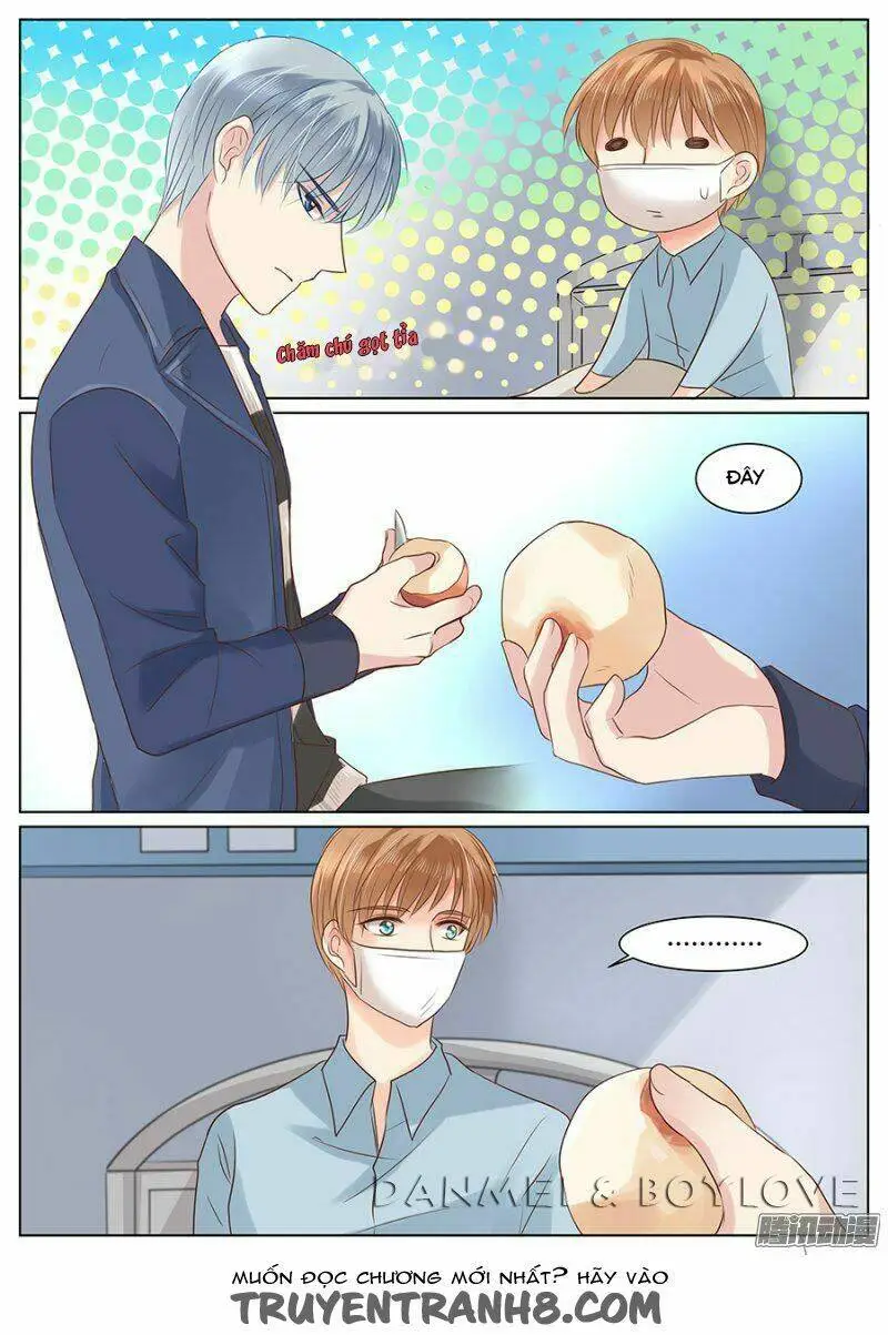 Chapter 29