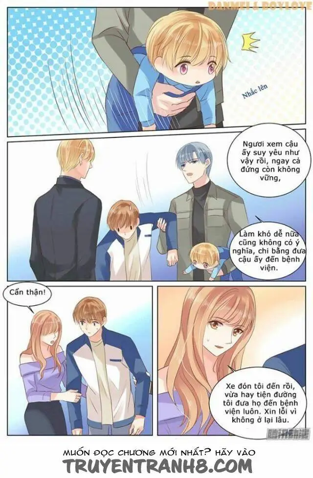 Chapter 26