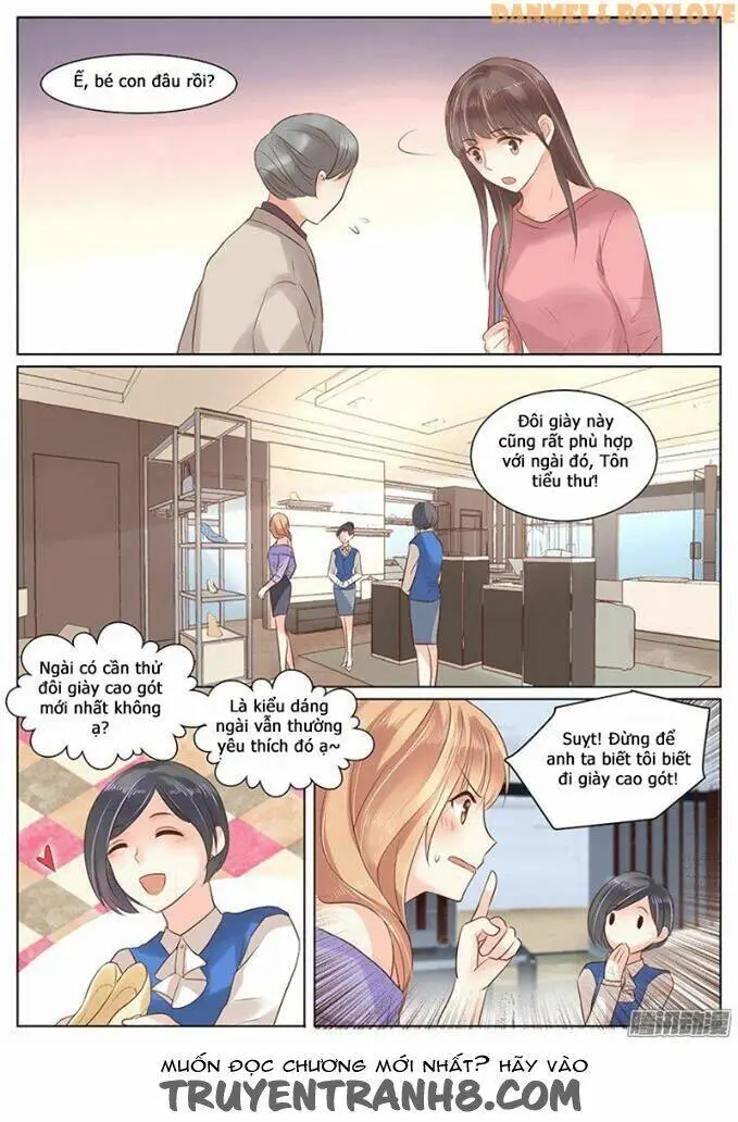 Chapter 23