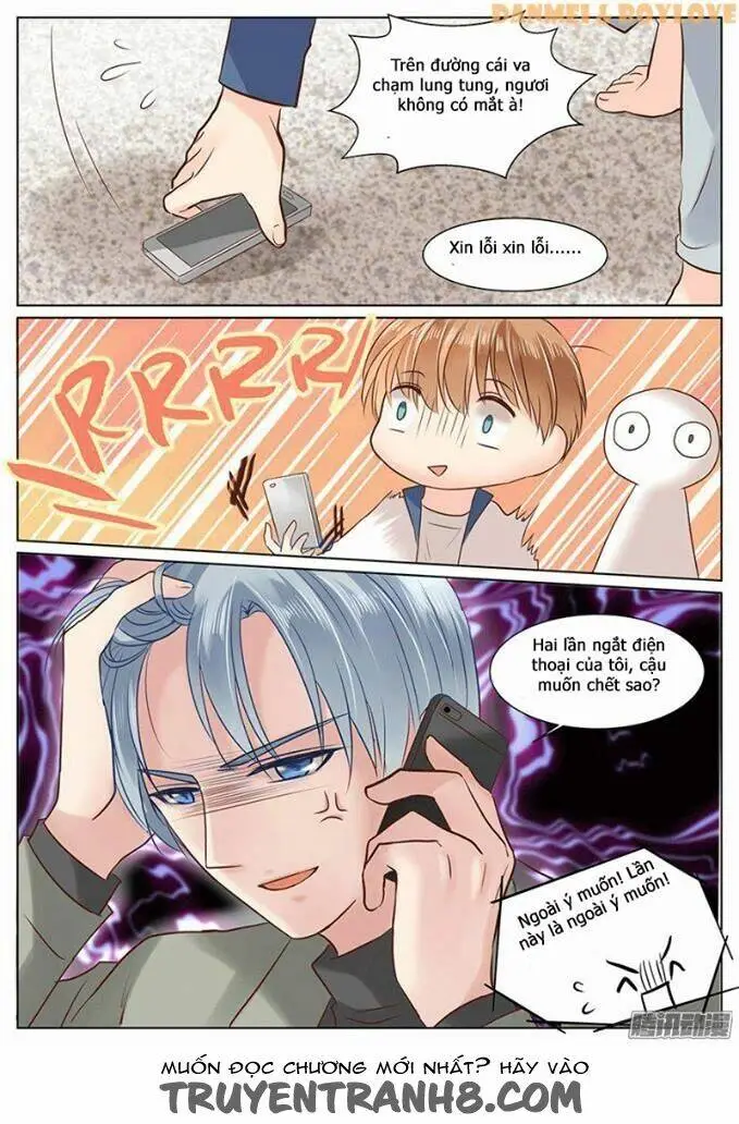 Chapter 23