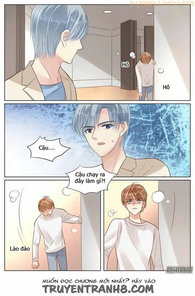 Chapter 19