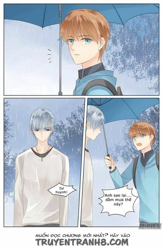 Chapter 10