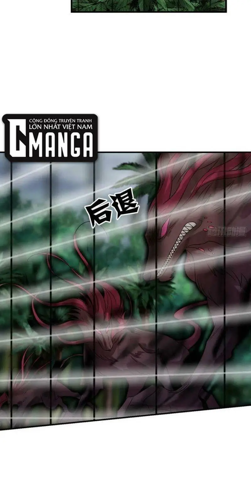 Chapter 290