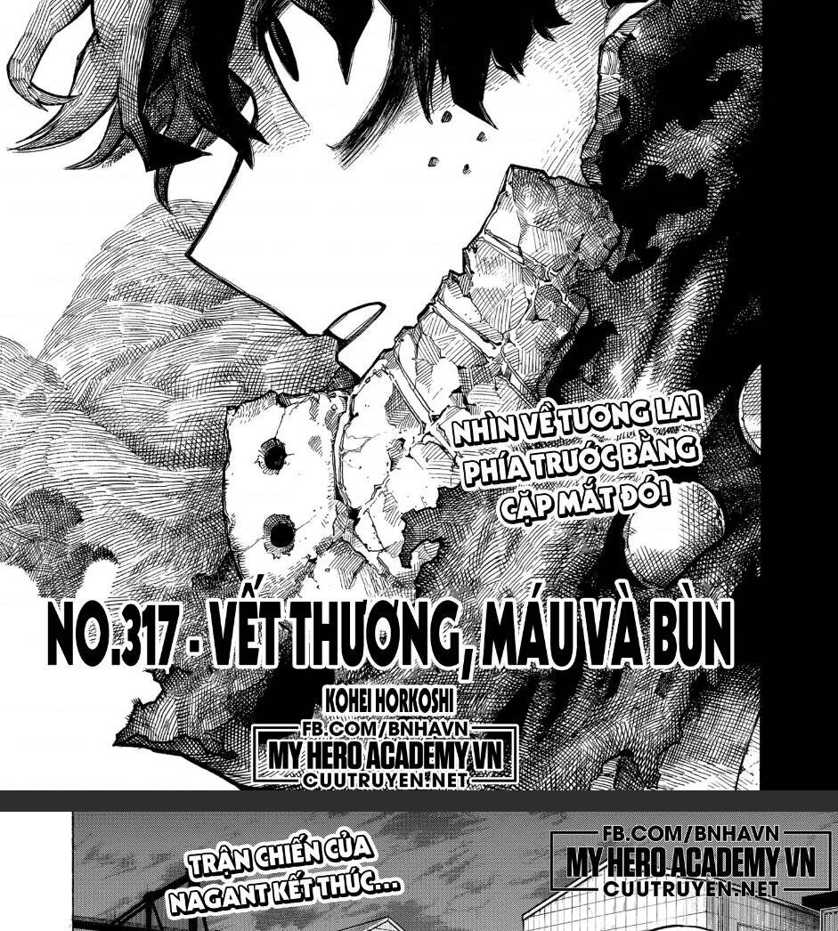 Chapter 317