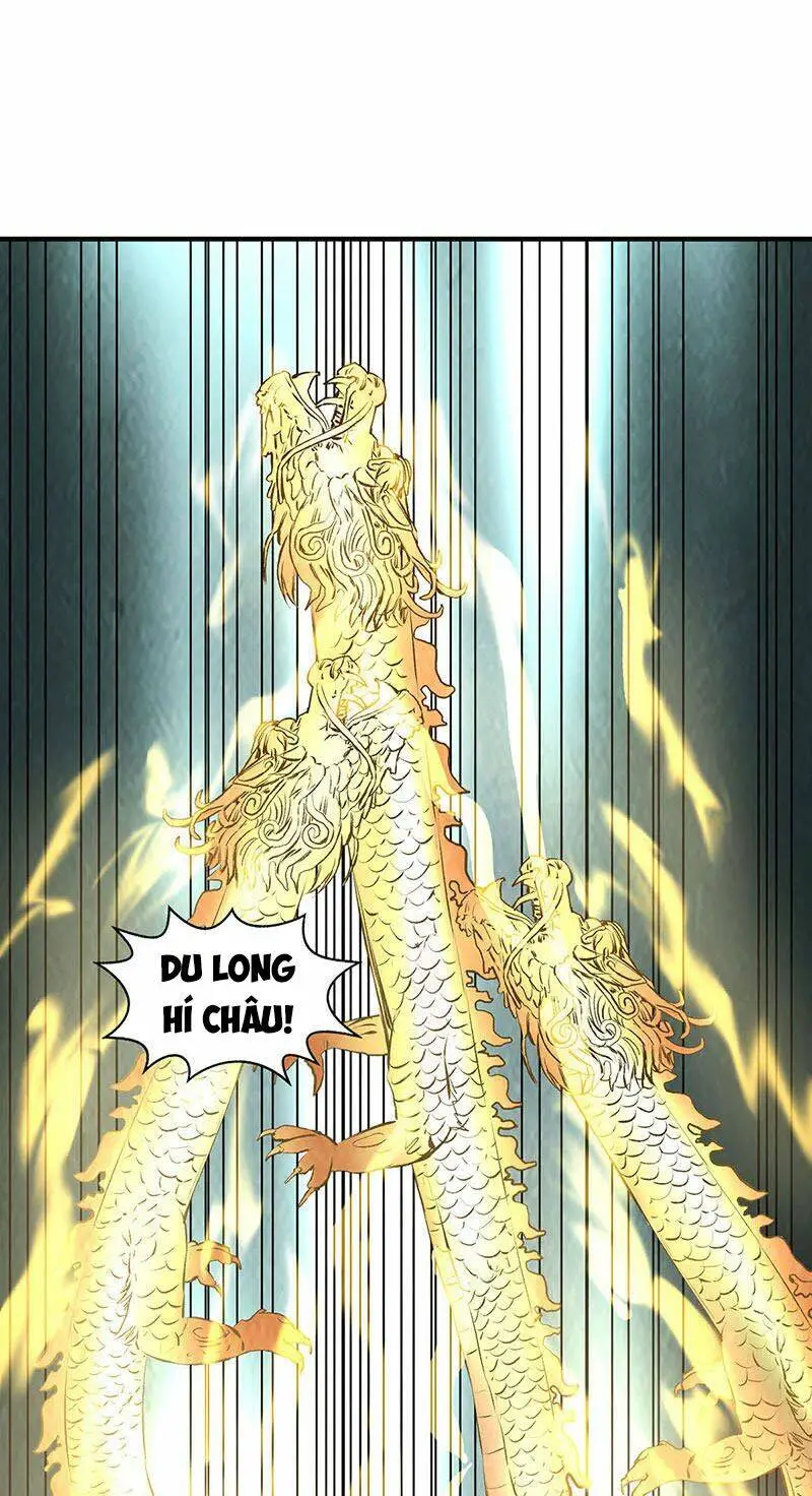 Chapter 216
