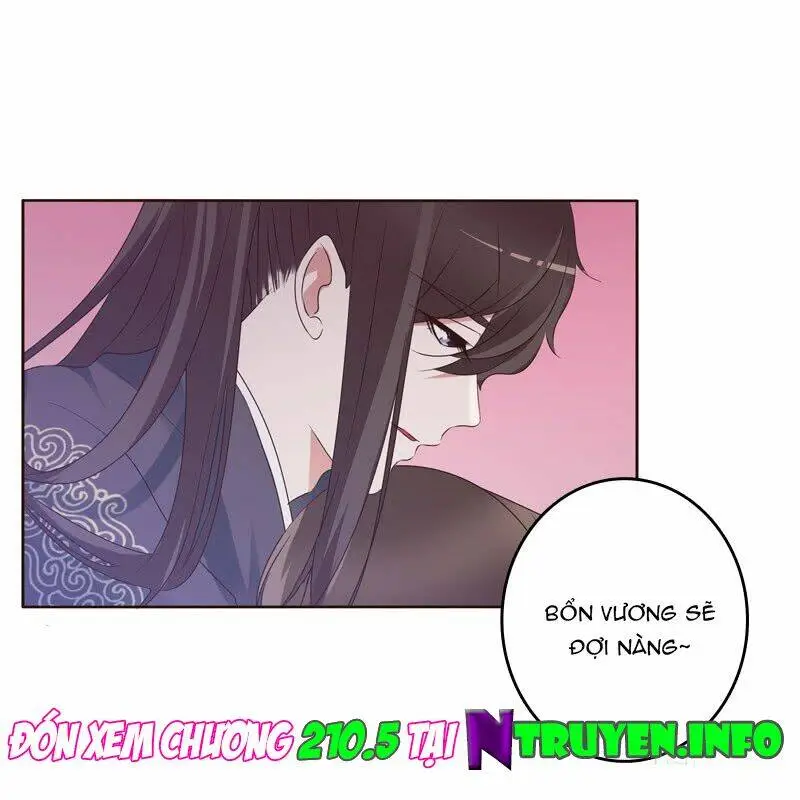 Chapter 210