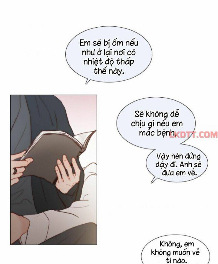 Chapter 53