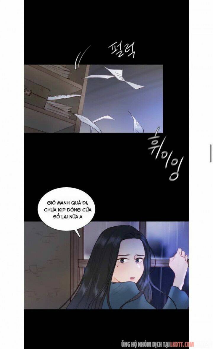 Chapter 41