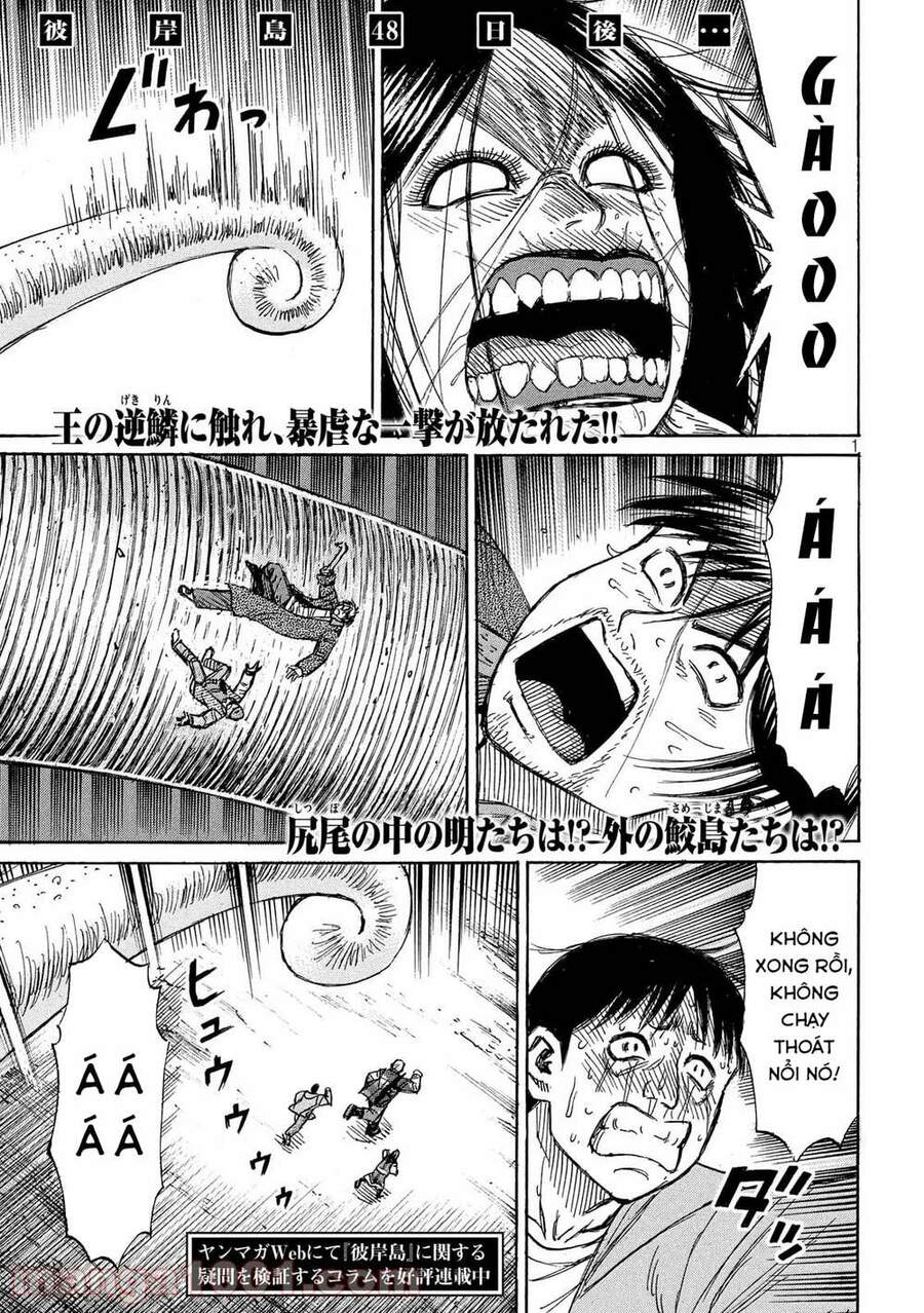 Chapter 753