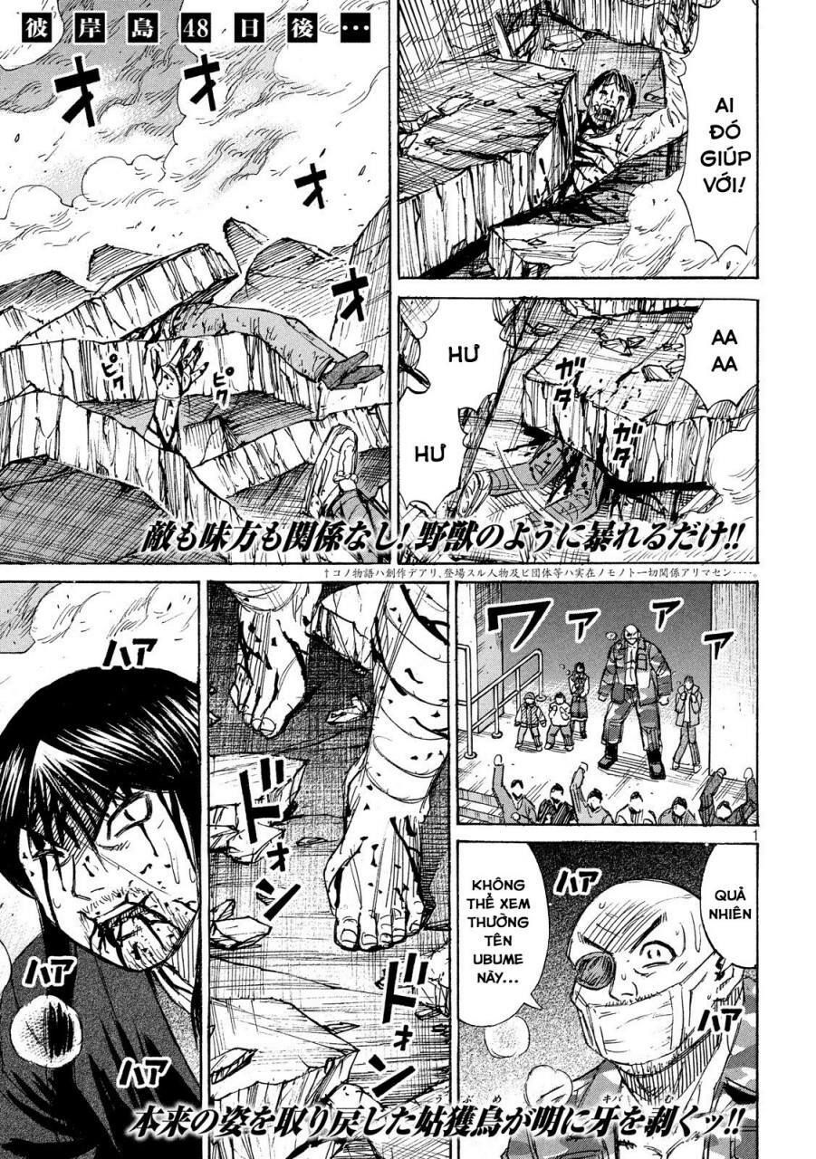 Chapter 217