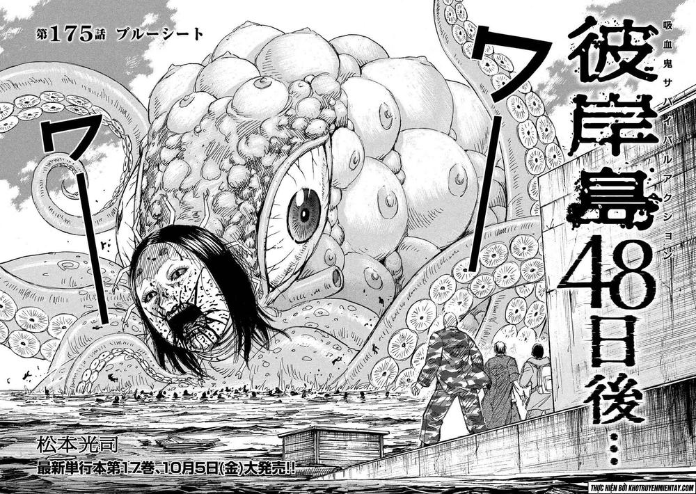 Chapter 175