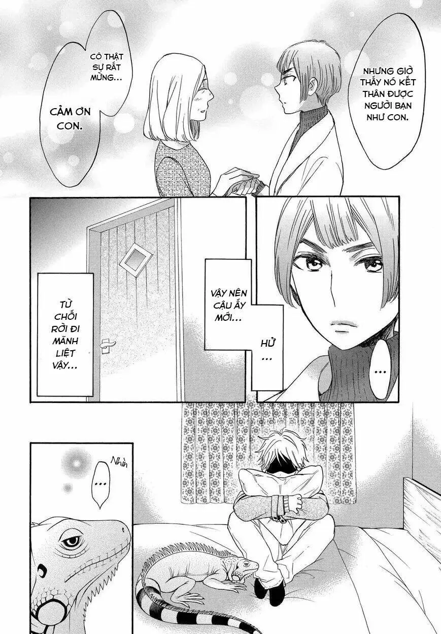 Chapter 31