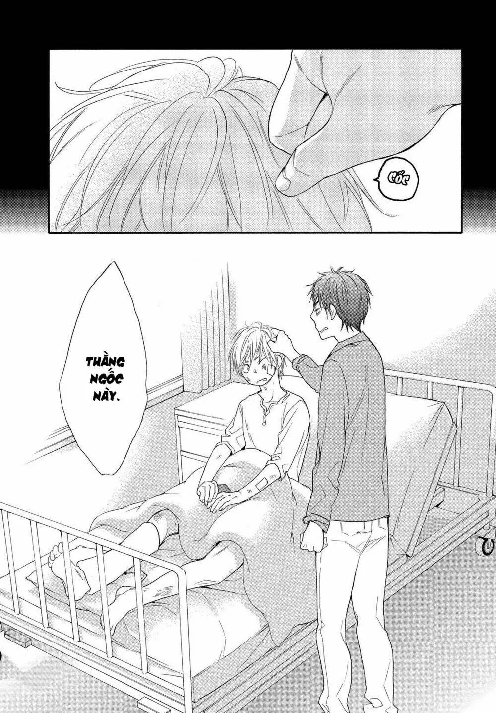 Chapter 13