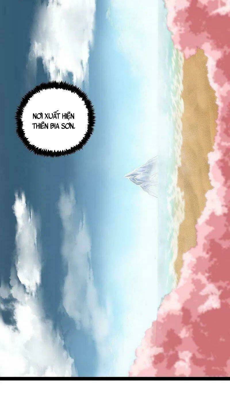 Chapter 275