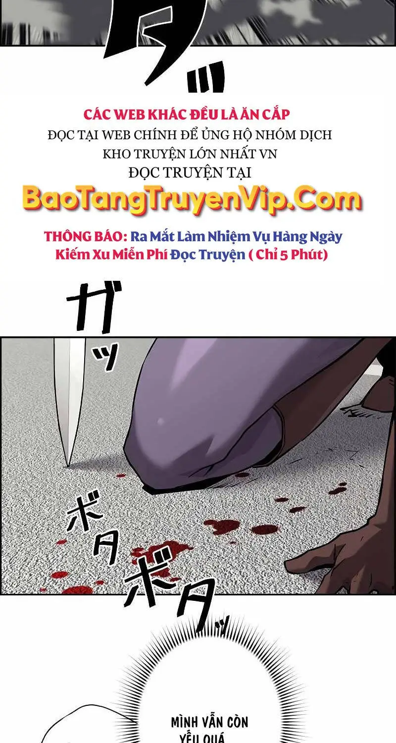 Chapter 55