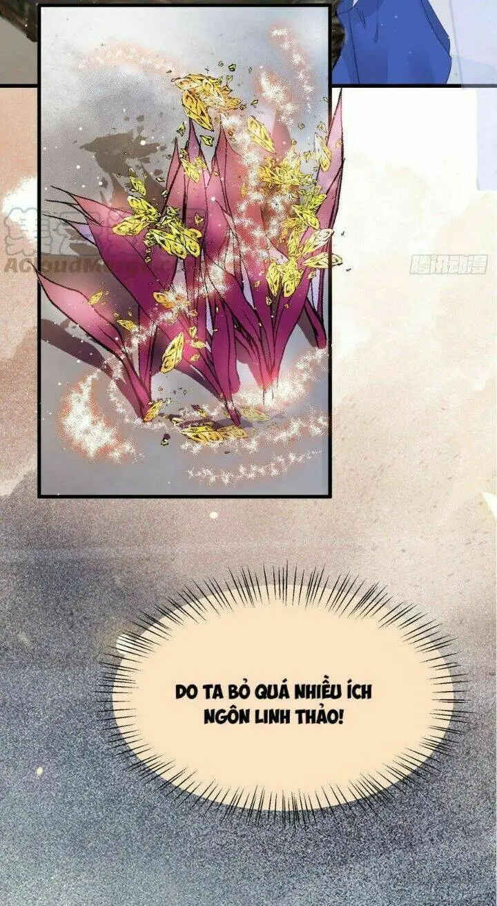 Chapter 263