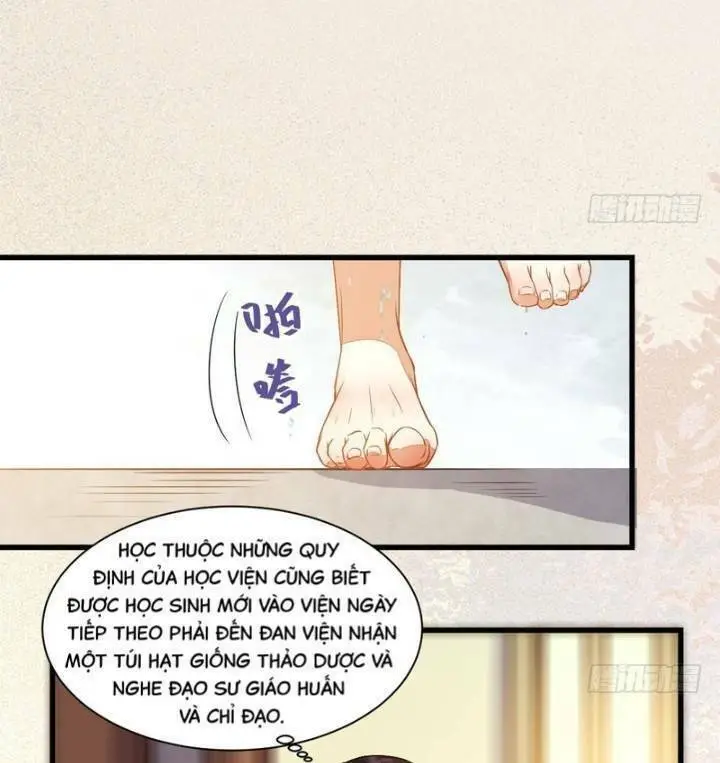 Chapter 236
