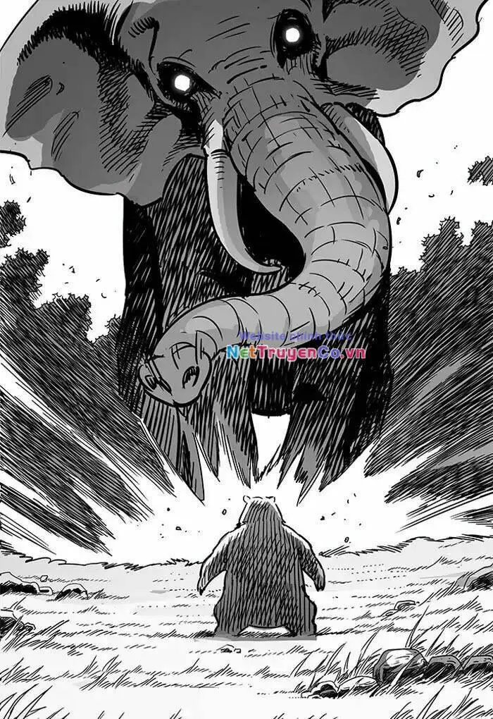 Chapter 202